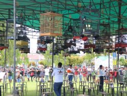 Sruduk SF dan Koboi BC Juara Lomba Burung Berkicau Bupati Cup II Kutim