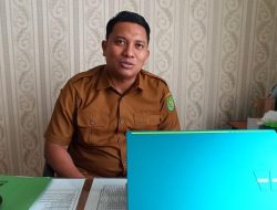 Komoditi Buah Nanas Petani Desa Himba Lestari Mulai Dilirik Konsumen Luar Daerah