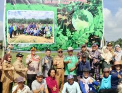 Panen Raya Semangka, Poktan Lestari Mandiri Jaya Ranpul Hasilkan 75 Ton