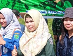 Pola Makan dan Jenis Pakan Jadi Indikator Dalam Keberhasilan Peternakan Mandiri