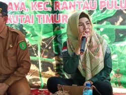 Pola Pakan Ternak Menentukan Keberhasilanan Peternakan Mandiri