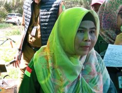 Ringankan Petani Dalam Menggarap Lahan, Pemkab Kutim Berikan Bantuan Alat Pertanian