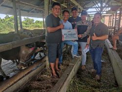Hari Raya Idul Adha 1444 H, KPC Salurkan 57 Ekor Sapi dan 5 Ekor Kambing Qurban di Wilayah Operasinya