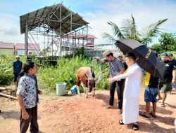 DPD KNPI Kutai Timur Kembali Berqurban Seekor Sapi Pada Idul Adha 1444 H