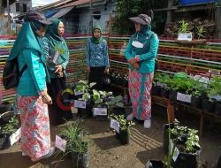 TP PKK Kecamatan Muara Bengkal Laksanakan SMEP ke 4 di Desa Benua Baru