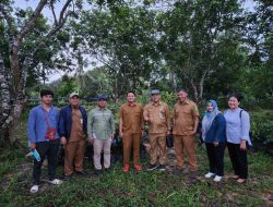 Empat Kelompok Tani Akan Menerima 8000 Bibit Durian Dari Pemkab Kutim