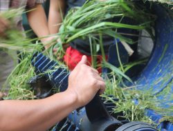 Pemkab Kutim Jalankan Program Peternakan Rakyat Mandiri Dengan Memberikan Bantuan Mesin Chopper Melalui DTPHP