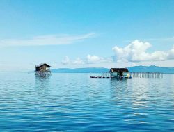 Miliki Potensi Kelautan Dan Perikanan Sangat Bagus, Novel Tyty Paembonan : Seharusnya Bisa Dimanfaatkan Dengan Baik