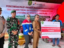 Ardiansyah Sulaiman Resmikan Pilot Project Tanaman Cabai 5 Hektare di Desa Martadinata