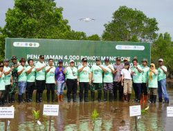 Pemkab Kutai Timur dan PT Arkara Pratama Energi (APE) Rayakan Hari Lingkungan Hidup dan Hari Laut Sedunia dengan Penanaman Mangrove dan Transplantasi Terumbu Karang
