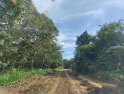 Pembangunan Infrastruktur Listrik di Kutai Timur: Menerangi Desa-Desa Terpencil