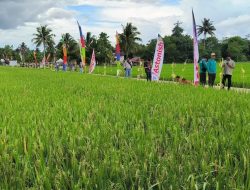 Menyemai Harapan Kemandirian Pangan di Tengah Tantangan Perubahan Lahan