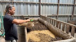 Inovasi Pengolahan Sampah di Sangatta, Agus Prawoto Kembangkan Peternakan Terintegrasi