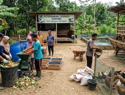 Inovasi Warga Sangatta Selatan: Olah Sampah Organik Jadi Pakan Ternak Terpadu