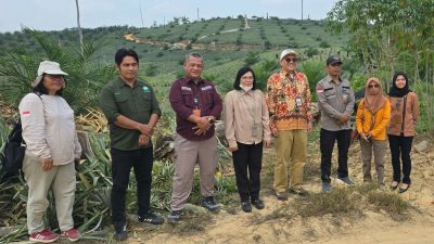 Lirik Potensi Nanas Himba Lestari, OJK Kaltim Dorong Pengembangan Industri Tekstil Daun Nanas